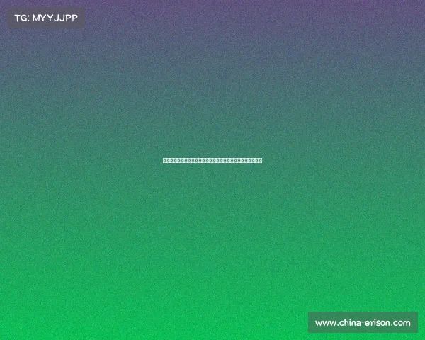 观众人数突破历史新高赛事盛况空前观众热情激增见证精彩时刻